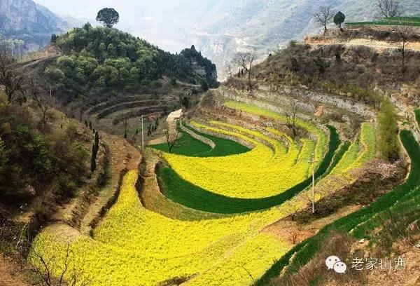 百里云霞—土岭村