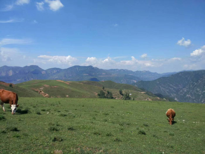 我的家乡 我热爱的土地
