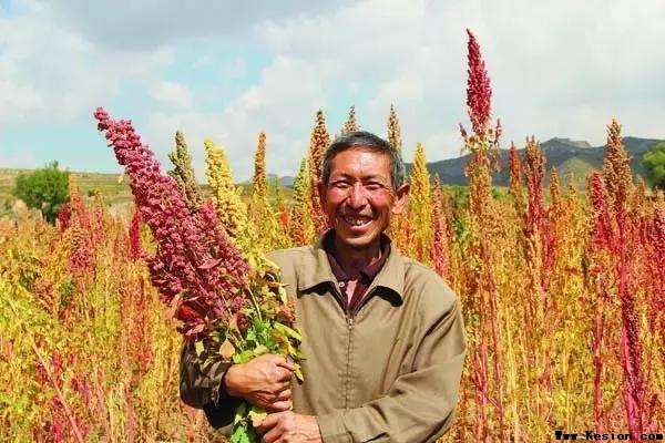 我的家乡&nbsp;我热爱的土地